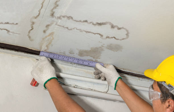Reliable Water Damage contractor in Henderson, KY by Water Damage Irwin